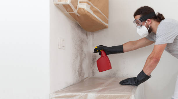 Professional Mold Remediation technician working in Pleasant Hall, PA